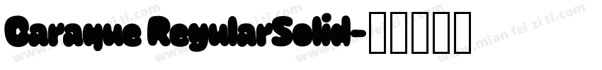 Caraque RegularSolid字体转换